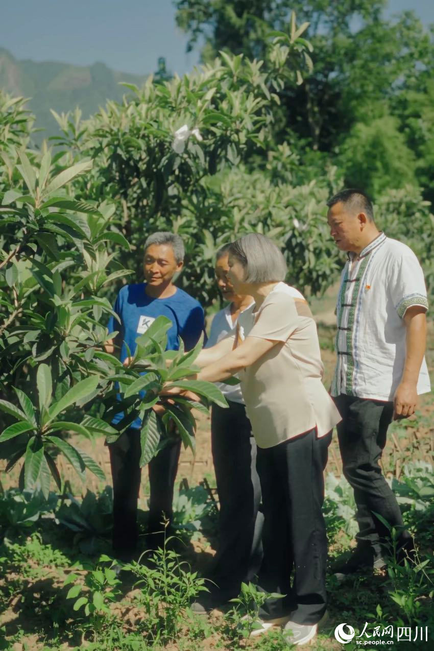 綿陽市農(nóng)科院研究員任茂瓊（前排左一）在果園里，手把手給農(nóng)戶演示如何修枝。人民網(wǎng)記者 張若涵攝